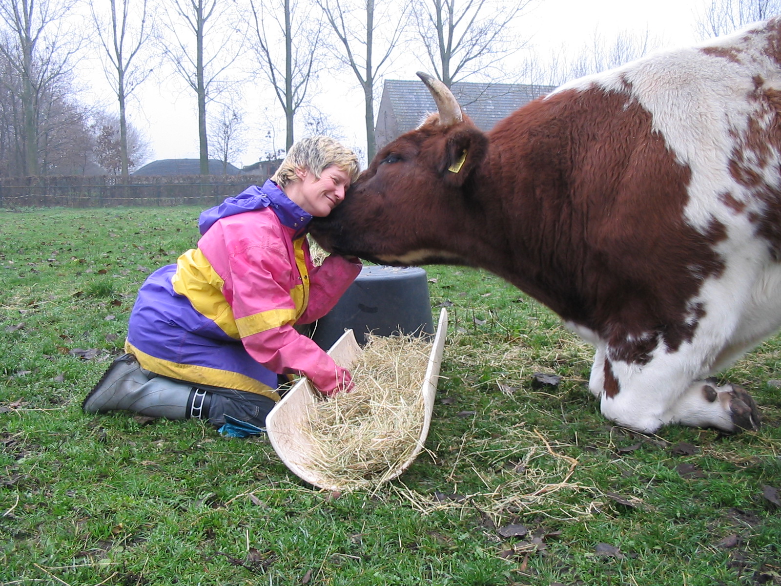 communiceren-met-dieren-therapie-n-voor-mens-en-dier
